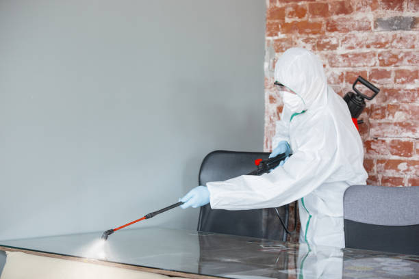 Eastern Goleta Valley, CA Mold Removal Services Company